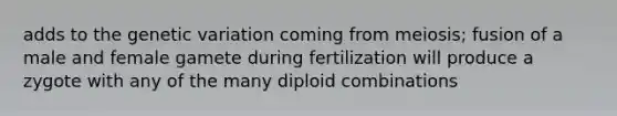 adds to the genetic variation coming from meiosis; fusion of a male and female gamete during fertilization will produce a zygote with any of the many diploid combinations