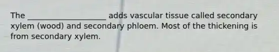 The ____________________ adds vascular tissue called secondary xylem (wood) and secondary phloem. Most of the thickening is from secondary xylem.