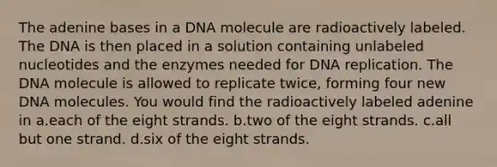 The adenine bases in a DNA molecule are radioactively labeled. The DNA is then placed in a solution containing unlabeled nucleotides and the enzymes needed for DNA replication. The DNA molecule is allowed to replicate twice, forming four new DNA molecules. You would find the radioactively labeled adenine in a.each of the eight strands. b.two of the eight strands. c.all but one strand. d.six of the eight strands.