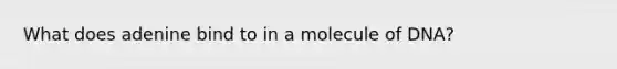 What does adenine bind to in a molecule of DNA?