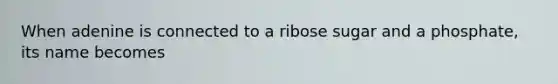 When adenine is connected to a ribose sugar and a phosphate, its name becomes