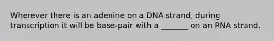 Wherever there is an adenine on a DNA strand, during transcription it will be base-pair with a _______ on an RNA strand.