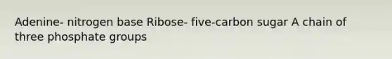 Adenine- nitrogen base Ribose- five-carbon sugar A chain of three phosphate groups