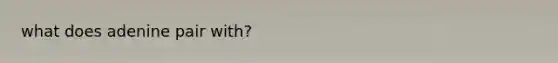 what does adenine pair with?