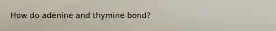 How do adenine and thymine bond?