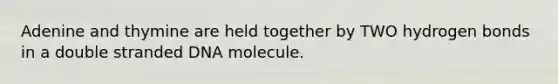 Adenine and thymine are held together by TWO hydrogen bonds in a double stranded DNA molecule.