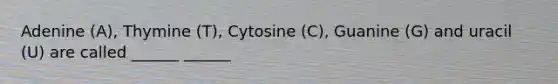 Adenine (A), Thymine (T), Cytosine (C), Guanine (G) and uracil (U) are called ______ ______