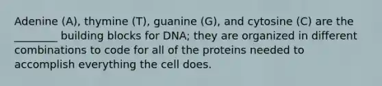 Adenine (A), thymine (T), guanine (G), and cytosine (C) are the ________ building blocks for DNA; they are organized in different combinations to code for all of the proteins needed to accomplish everything the cell does.