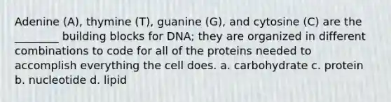 Adenine (A), thymine (T), guanine (G), and cytosine (C) are the ________ building blocks for DNA; they are organized in different combinations to code for all of the proteins needed to accomplish everything the cell does. a. carbohydrate c. protein b. nucleotide d. lipid