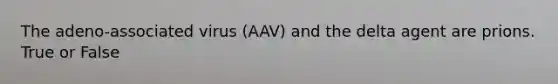 The adeno-associated virus (AAV) and the delta agent are prions. True or False