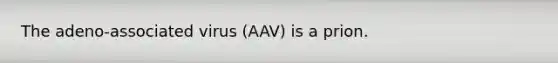 The adeno-associated virus (AAV) is a prion.