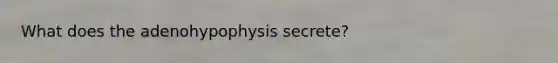 What does the adenohypophysis secrete?