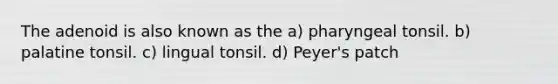 The adenoid is also known as the a) pharyngeal tonsil. b) palatine tonsil. c) lingual tonsil. d) Peyer's patch