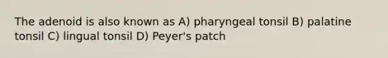 The adenoid is also known as A) pharyngeal tonsil B) palatine tonsil C) lingual tonsil D) Peyer's patch