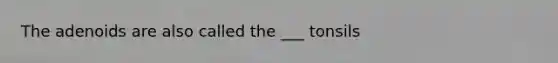 The adenoids are also called the ___ tonsils