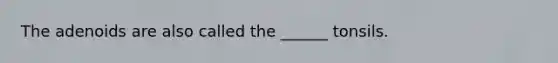 The adenoids are also called the ______ tonsils.