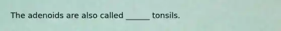 The adenoids are also called ______ tonsils.