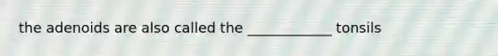 the adenoids are also called the ____________ tonsils