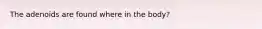 The adenoids are found where in the body?