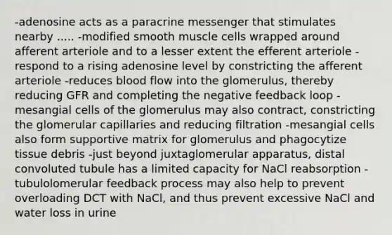 -adenosine acts as a paracrine messenger that stimulates nearby ..... -modified smooth muscle cells wrapped around afferent arteriole and to a lesser extent the efferent arteriole -respond to a rising adenosine level by constricting the afferent arteriole -reduces blood flow into the glomerulus, thereby reducing GFR and completing the negative feedback loop -mesangial cells of the glomerulus may also contract, constricting the glomerular capillaries and reducing filtration -mesangial cells also form supportive matrix for glomerulus and phagocytize tissue debris -just beyond juxtaglomerular apparatus, distal convoluted tubule has a limited capacity for NaCl reabsorption -tubulolomerular feedback process may also help to prevent overloading DCT with NaCl, and thus prevent excessive NaCl and water loss in urine