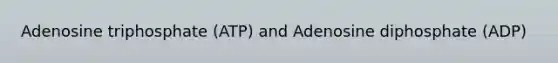 Adenosine triphosphate (ATP) and Adenosine diphosphate (ADP)