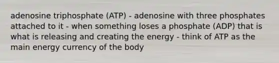 adenosine triphosphate (ATP) - adenosine with three phosphates attached to it - when something loses a phosphate (ADP) that is what is releasing and creating the energy - think of ATP as the main energy currency of the body