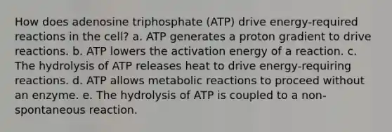 How does adenosine triphosphate (ATP) drive energy-required reactions in the cell? a. ATP generates a proton gradient to drive reactions. b. ATP lowers the activation energy of a reaction. c. The hydrolysis of ATP releases heat to drive energy-requiring reactions. d. ATP allows metabolic reactions to proceed without an enzyme. e. The hydrolysis of ATP is coupled to a non-spontaneous reaction.