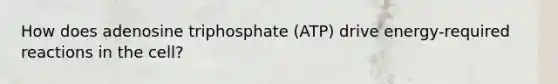 How does adenosine triphosphate (ATP) drive energy‑required reactions in the cell?