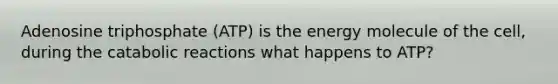 Adenosine triphosphate (ATP) is the energy molecule of the cell, during the catabolic reactions what happens to ATP?