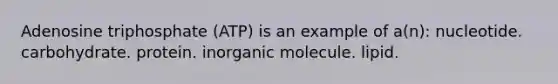 Adenosine triphosphate (ATP) is an example of a(n): nucleotide. carbohydrate. protein. inorganic molecule. lipid.