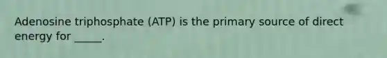 Adenosine triphosphate (ATP) is the primary source of direct energy for _____.