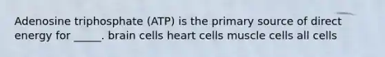 Adenosine triphosphate (ATP) is the primary source of direct energy for _____. brain cells heart cells muscle cells all cells