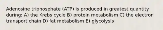 Adenosine triphosphate (ATP) is produced in greatest quantity during: A) the Krebs cycle B) protein metabolism C) the electron transport chain D) fat metabolism E) glycolysis