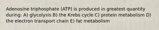 Adenosine triphosphate (ATP) is produced in greatest quantity during: A) glycolysis B) the Krebs cycle C) protein metabolism D) the electron transport chain E) fat metabolism