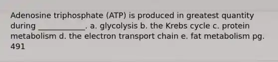 Adenosine triphosphate (ATP) is produced in greatest quantity during ____________. a. glycolysis b. the Krebs cycle c. protein metabolism d. <a href='https://www.questionai.com/knowledge/k57oGBr0HP-the-electron-transport-chain' class='anchor-knowledge'>the electron transport chain</a> e. fat metabolism pg. 491