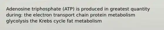 Adenosine triphosphate (ATP) is produced in greatest quantity during: the electron transport chain protein metabolism glycolysis the Krebs cycle fat metabolism