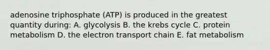 adenosine triphosphate (ATP) is produced in the greatest quantity during: A. glycolysis B. the <a href='https://www.questionai.com/knowledge/kqfW58SNl2-krebs-cycle' class='anchor-knowledge'>krebs cycle</a> C. protein metabolism D. <a href='https://www.questionai.com/knowledge/k57oGBr0HP-the-electron-transport-chain' class='anchor-knowledge'>the electron transport chain</a> E. fat metabolism