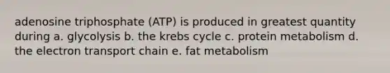 adenosine triphosphate (ATP) is produced in greatest quantity during a. glycolysis b. the krebs cycle c. protein metabolism d. the electron transport chain e. fat metabolism