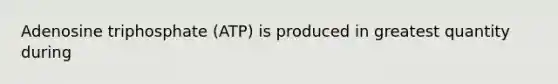 Adenosine triphosphate (ATP) is produced in greatest quantity during