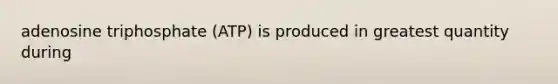 adenosine triphosphate (ATP) is produced in greatest quantity during