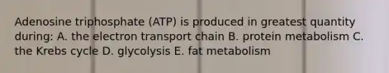 Adenosine triphosphate (ATP) is produced in greatest quantity during: A. the electron transport chain B. protein metabolism C. the Krebs cycle D. glycolysis E. fat metabolism