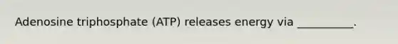 Adenosine triphosphate (ATP) releases energy via __________.