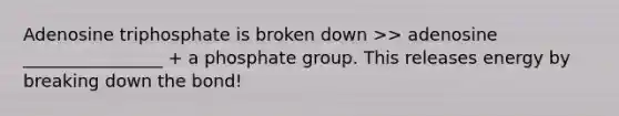 Adenosine triphosphate is broken down >> adenosine ________________ + a phosphate group. This releases energy by breaking down the bond!