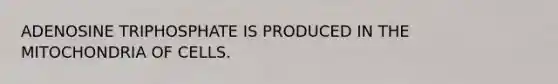 ADENOSINE TRIPHOSPHATE IS PRODUCED IN THE MITOCHONDRIA OF CELLS.
