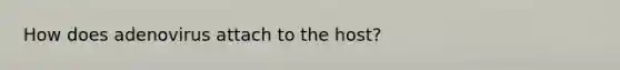 How does adenovirus attach to the host?