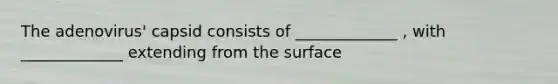 The adenovirus' capsid consists of _____________ , with _____________ extending from the surface
