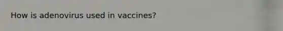 How is adenovirus used in vaccines?