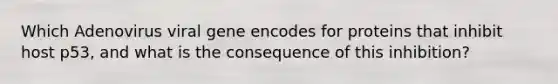 Which Adenovirus viral gene encodes for proteins that inhibit host p53, and what is the consequence of this inhibition?