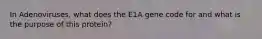 In Adenoviruses, what does the E1A gene code for and what is the purpose of this protein?