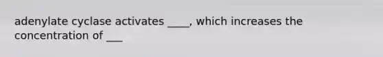 adenylate cyclase activates ____, which increases the concentration of ___